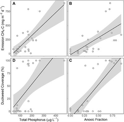 Pond greenhouse gas emissions controlled by duckweed coverage